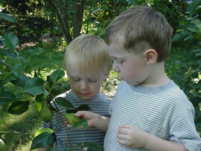 the two boys, Garrett(in back) and Alaric(in front)