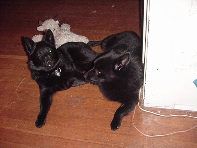 Me and Emmett, my play buddy.