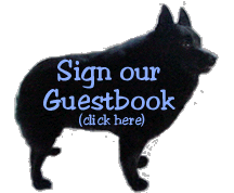 Please sign Phebe and Austin's guestbook.
