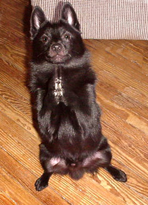 Austin's very cute sitting pattycake